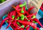 Cayenne Pepper