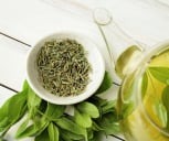 Green Tea Extract